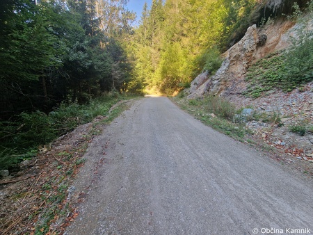 Redno vzdrževanje gozdnih cest (10)